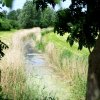 Tour 6: Naturpark Usedom